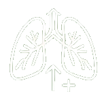 icon respiratory